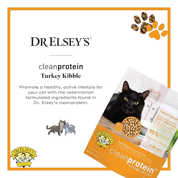 DR. ELSEY’S CLEANPROTEIN TURKEY CAT KIBBLE 2 LB. BAG