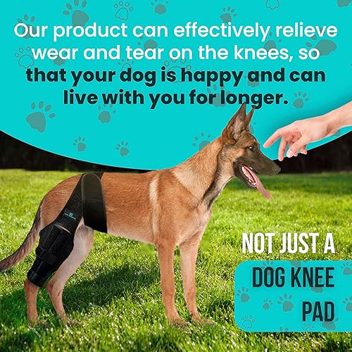 Dog Leg Braces for Back Leg Dog Knee Brace For Support With