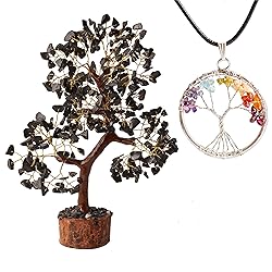 YUVDIPR Black Tourmaline Tree of Life of Life