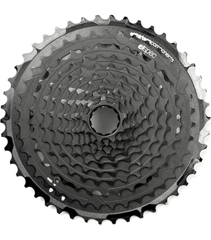 Amazon.com : SunRace CSMX9X 11SP XD Cassette - 10-46T - Black