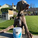 NutriPaw Joint & Hip Treats for Dogs - 120 Duck Flavoured Chews view 7