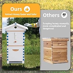 ACORNS Bee Hive Box Starter Kit, with 4 Beehive