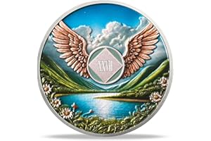 DEDECOML NA Sobriety Coin - NA Medallions with Wings and Scenic Sobriety Chips NA Coins - Ideal Narcotics Anonymous Gifts for Men ＆ Women Celebrating Recovery and Living Clean (27 Year)