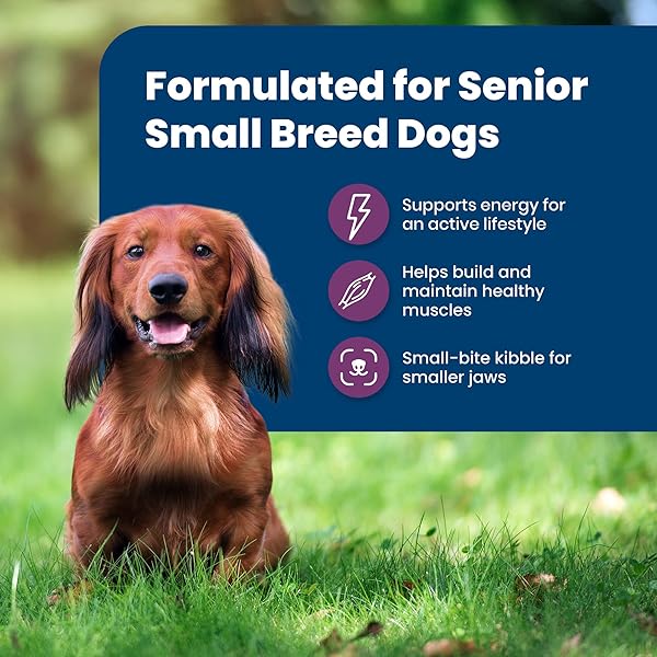 BLUE BUFFALO LIFE PROTECTION FORMULA SMALL BREED SENIOR DRY DOG FOOD, SUPPORTS JOINT HEALTH AND IMMUNITY, MADE WITH NATURAL INGREDIENTS, CHICKEN & BROWN RICE RECIPE, 5-LB BAG