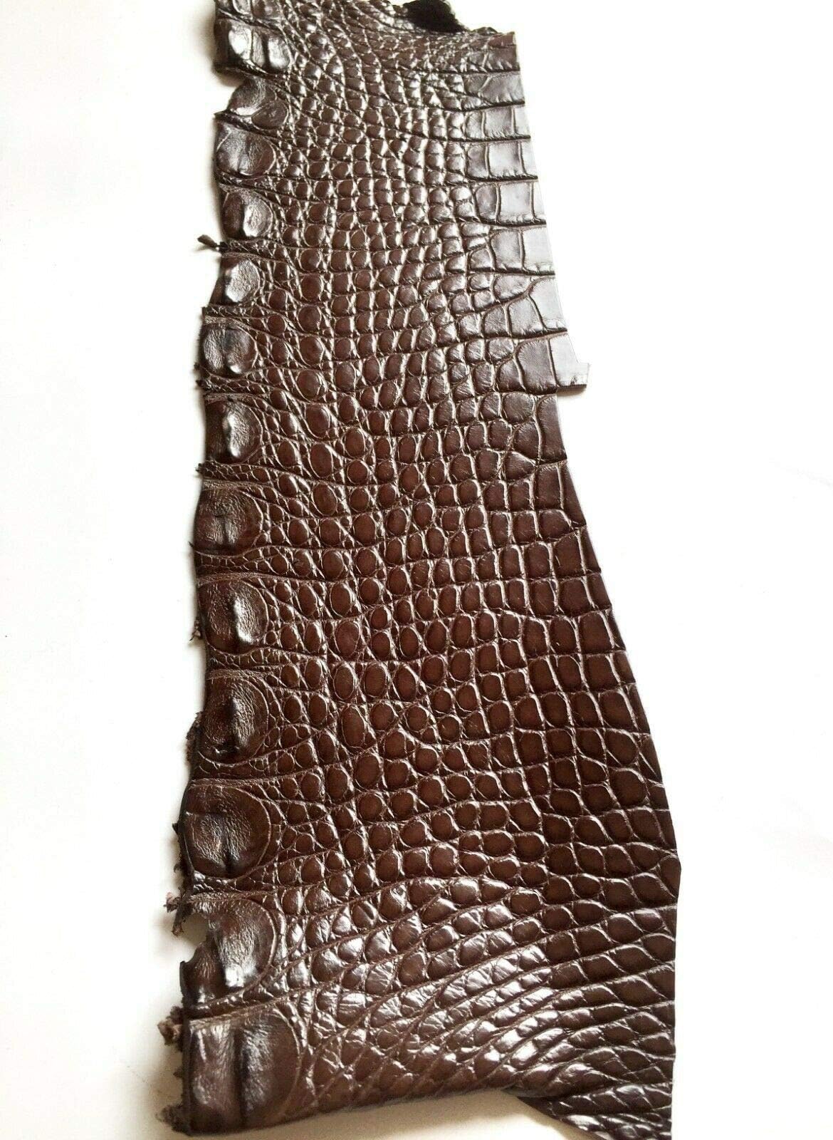Authentic Crocodile Remnants Piece Leather Hide Craft Supply Single One Brown