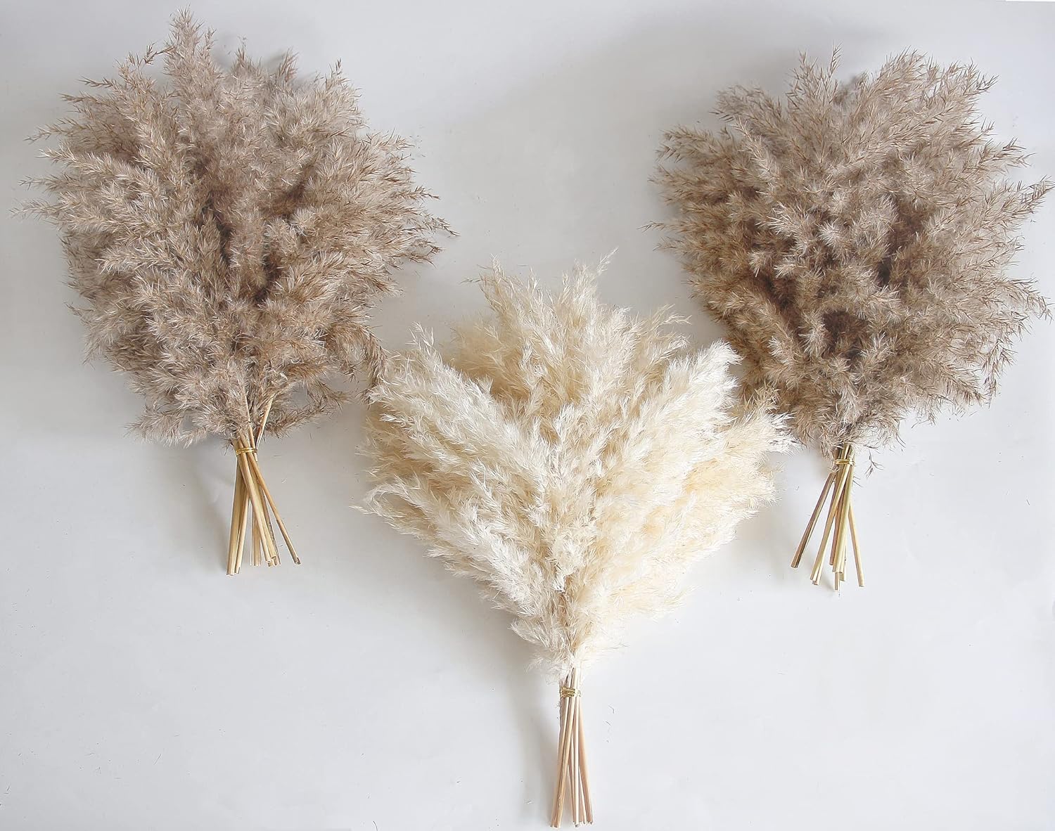Dried & Preserved Flora - 30 PCS Boho Decor, Fluffy Pompas Grass, Natural Dry Pampas Grass Small, Short Pampass Bulk for Boho Room, Coffee Table Decor (17 inch )