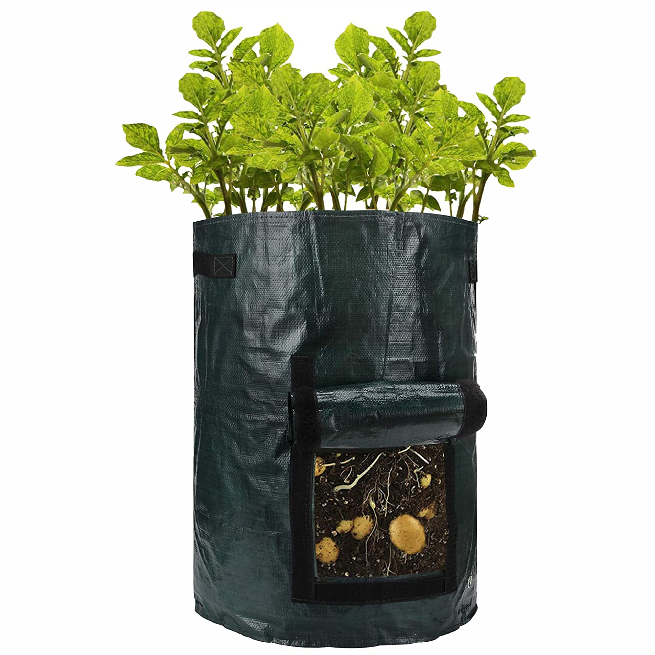SUL 10 Gallon Potato Grow Bag Garden Plant Bags Pots with Window Flap & Handle Grow Bags for Potatoes, Tomato,Carrot Strawberry – Green 2 Pack