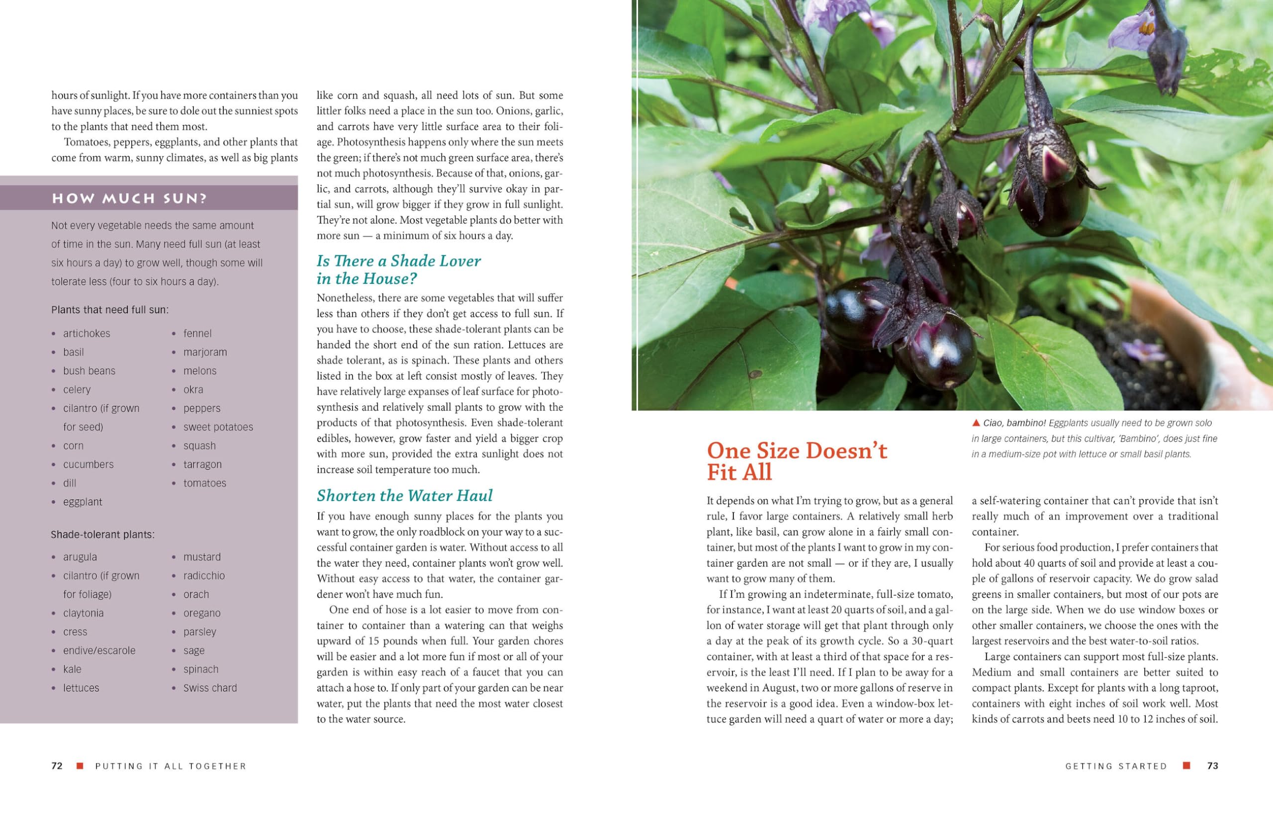 The Vegetable Gardener's Container Bible: How to Grow a Bounty of Food in Pots, Tubs, and Other Containers