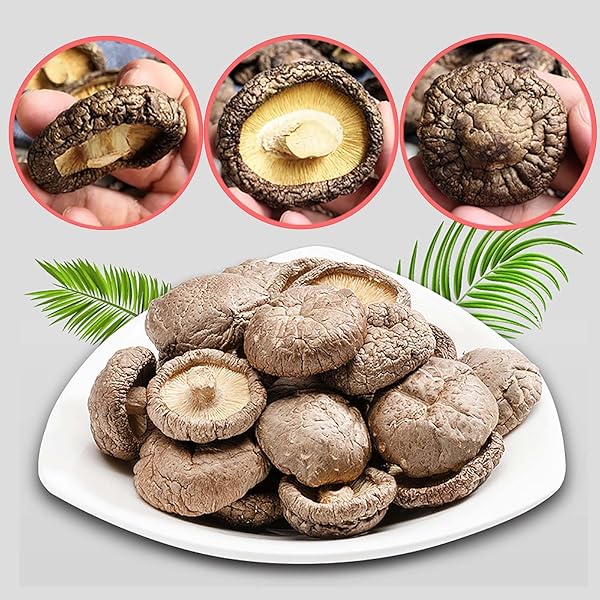 ORGANIC NATURAL DRIED MUSHROOMS – PREMIUM FLAVORS |GRADE EXTRA DRY MUSHROOMS FOR SOUPS, SAUCES, PASTA AND RISOTTO, REHYDRATE QUICKLY, ALL NATURAL & VEGAN | 8 OZ