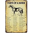 Retro Metal Horse Anatomy Tin Signs - Parts of Horse Decorations for Kitchen, Farm Room, Western Wall Art - 8 x 12 Inch