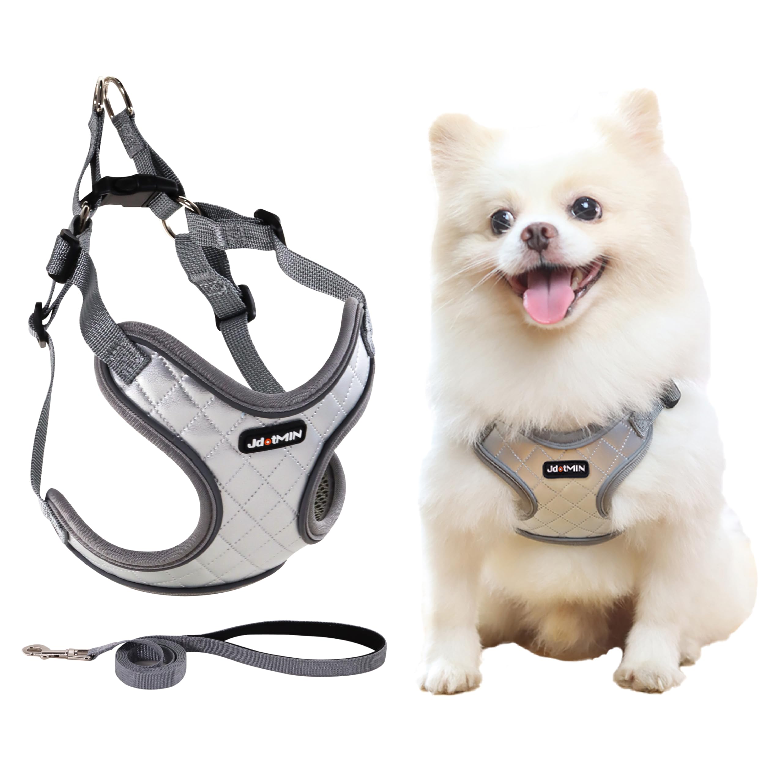 JdotMIN Plaid Dog Harness and Leash Set, Extra-Small/Small to Medium Dog and Cat Vest Harness No Pull, Escape Proof, For Walking Puppy and Kitten, For Travel and Car (Silver, S) — image 1