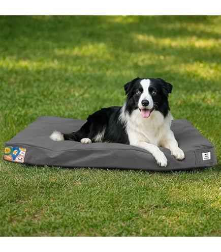 Carhartt ドッグベッド　dog bed Amazon.com : Carhartt Durable Canvas Pet Bed, Water