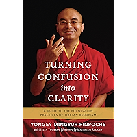 Turning Confusion into Clarity: A Guide to the Foundation Practices of Tibetan Buddhism