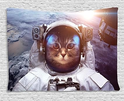Abakuhaus Chat Décoration Murale Espace Eclipse Satellite
