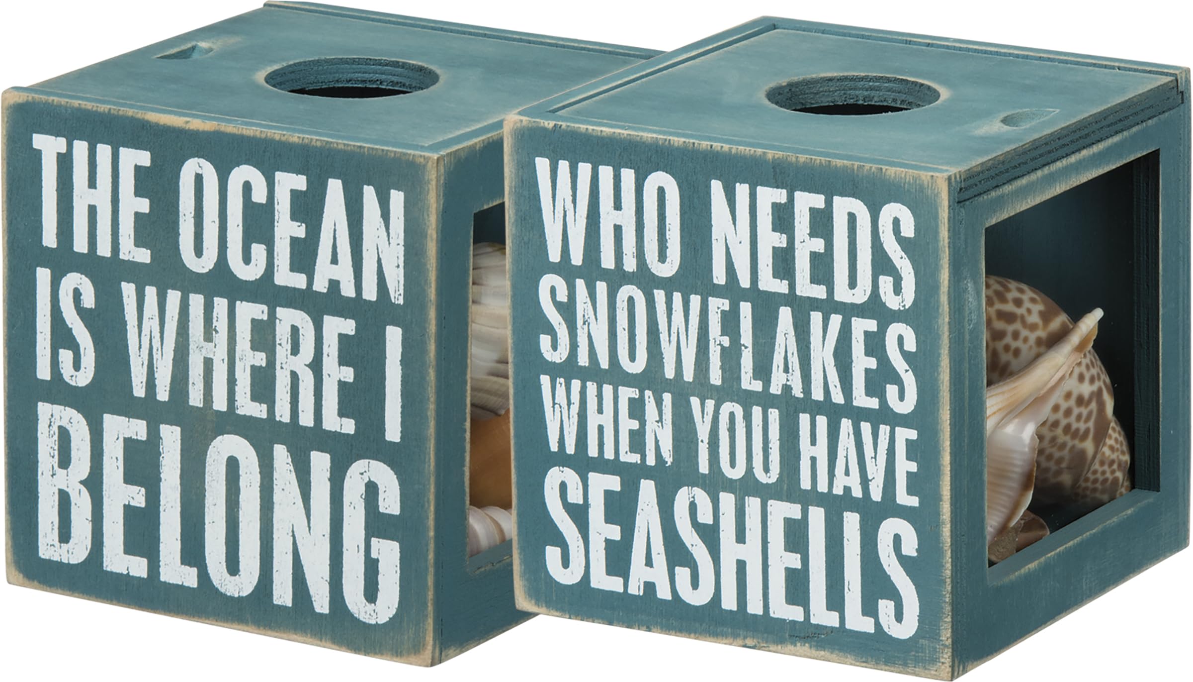 Primitives by Kathy 27814 Beach House Decor Sea Shell Holder, 4.25 x 4.25 x 4.25-inches, The Ocean Is Where I Belong