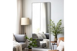 NeuType Full Length Mirror Standing Hanging or Leaning Against Wall, Large Rectangle Bedroom Mirror Floor Mirror Dressing Mirror Wall-Mounted Mirror, Aluminum Alloy Thin Frame, Silver, 65"x22"