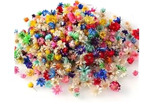 MYTOAU 400 Pieces Small Dried Flowers,Real Natural Mini Dried Flowers,Colourful Dry Flowers,Dried Pressed Flowers Bulk for Cr