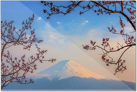 Amazon Com Mount Fuji Japan And Cherry Blossom Trees 12x8