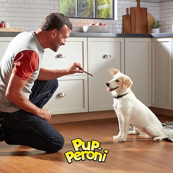 PUP-PERONI DOG TREATS, LEAN BEEF FLAVOR, 38 OUNCE, MADE WITH REAL BEEF, 90% FAT FREE