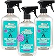Aunt Fannie's All Purpose Household Cleaner, Multi-surface Spray Cleaner, Powered by Vinegar for Kitchen, Bath, Windows and Countertops, Lavender Scent (Pack of 3) Packaging May Vary