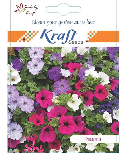 Petunia Multiflora Mix Flower Seeds by Kraft Seeds
