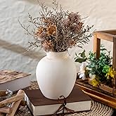 Varsoul Ceramic Decorative Flower Vase | 6 Inch Pottery Rustic Farmhouse | Boho | Whitewashed Terracotta Vase for Home Decor, Table, Living Room, Bathroom, Shelf, Mantel Decoration, Terra, White