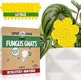 Super Ninja Fungus Gnat Killer 60 Pack Yellow Sticky Traps Indoor Plants