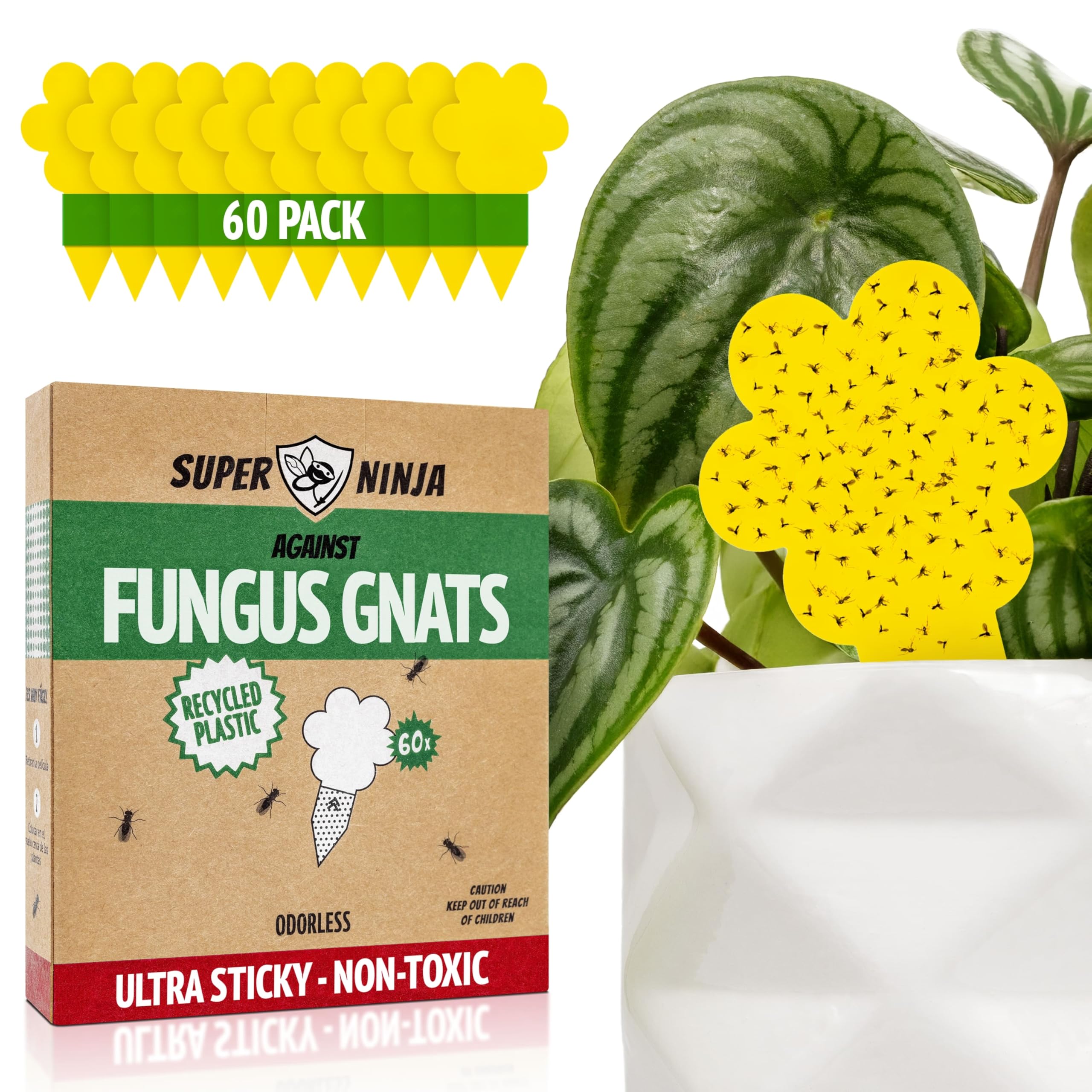 Super Ninja Fungus Gnat Killer - 60 Pack, Effective Gnat Killer for Indoor Plants, Non-Toxic & Nature-Friendly, Safe for Kids & Pets Yellow Sticky Fly Traps, Lasts Up to 3 Months