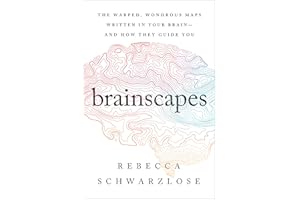 Brainscapes: The Warped, Wondrous Maps Written in Your Brain—And How They Guide You