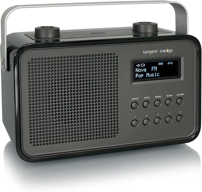 Dab2go BT tragbares Radio mit Bluetooth und FM/DAB/DAB+ Amazon.de