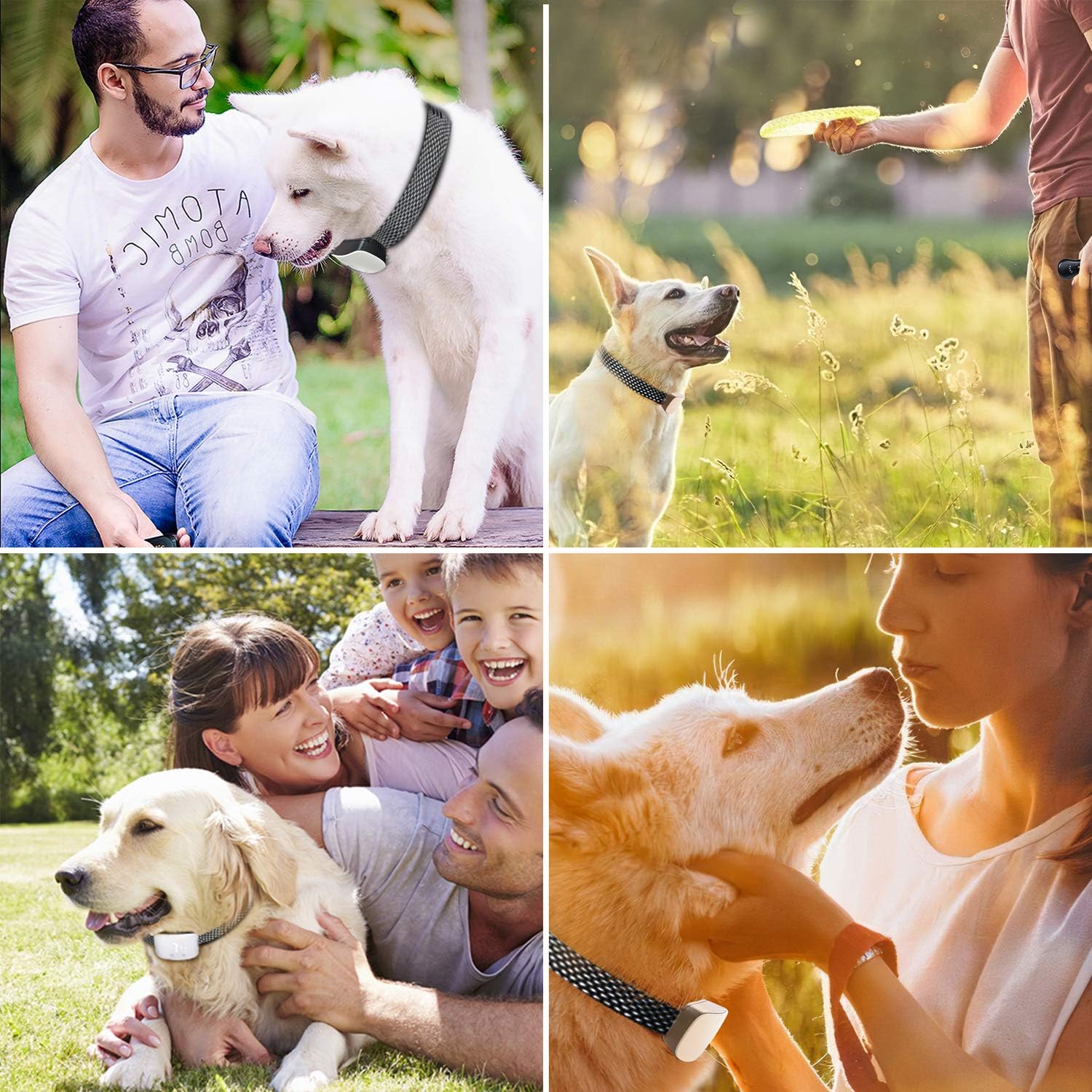 NBJU Bark Collar for Dogs, Rechargeable Anti Barking Training Collar with 7 Adjustable Sensitivity and Intensity Beep Vibration for Small Medium Large Dogs (White) : Kitchen & Dining