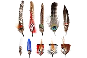 SendyFeather Hat Feathers 10 Styles Natural Assorted Feathers for Fedora Hats Accessories DIY Craft,Western Cowboy Hats,Christmas Party Hats,Oktoberfest Hats