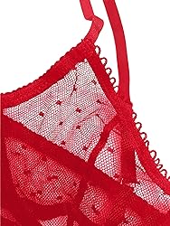 Lilosy Sexy Mesh Sheer Underwire Push Up Women
