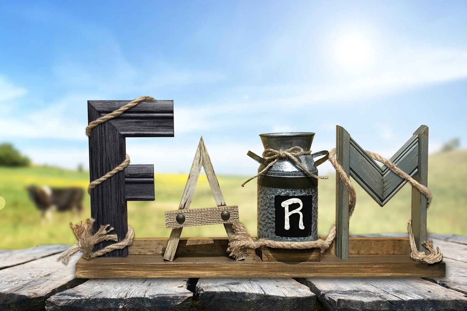 Amazon Com Farmhouse Decor Sign Farm Word Standing With Rope