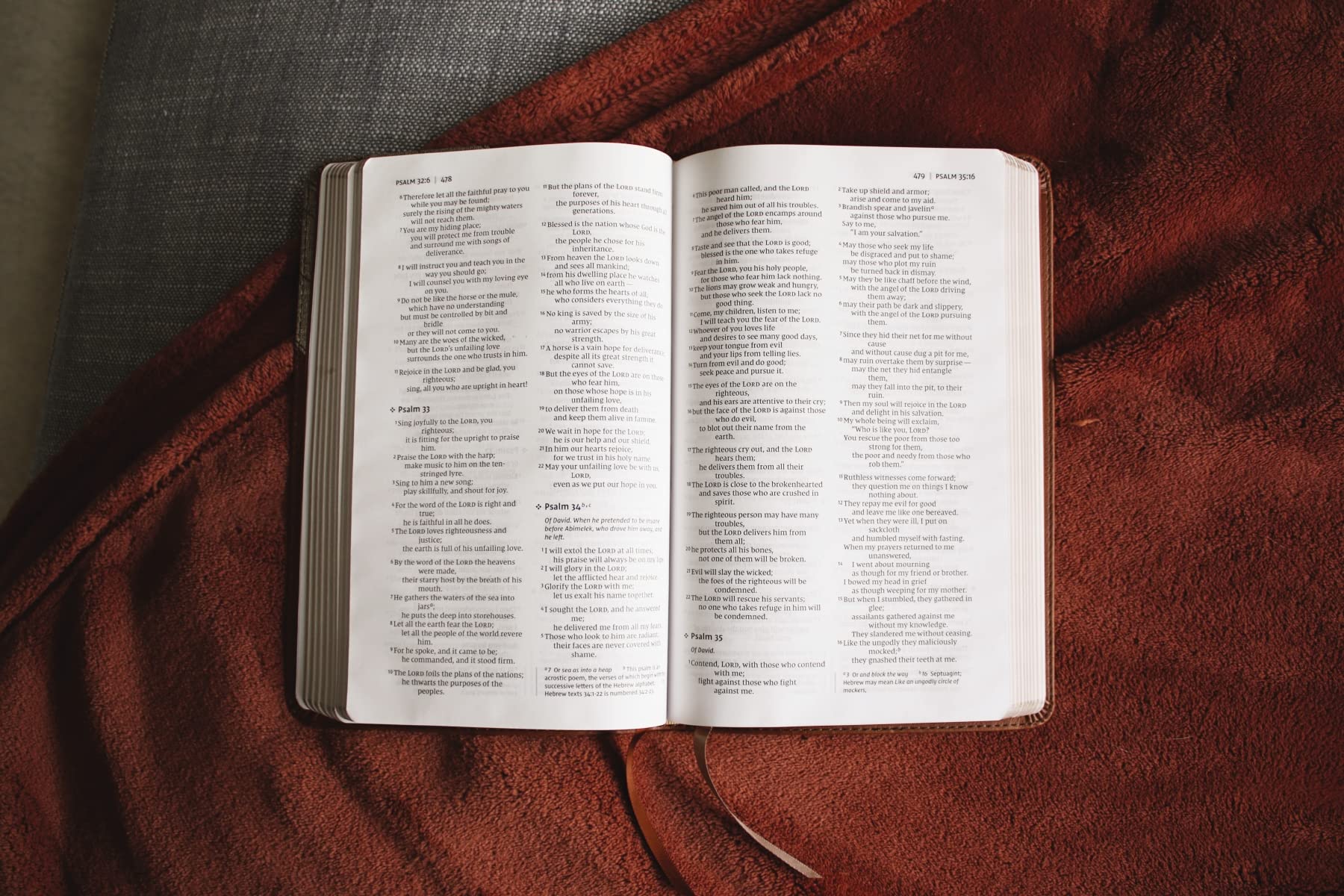 NIV, Thinline Bible, Leathersoft, Brown, Red Letter, Comfort Print