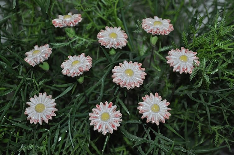 10 Keramikblumen: Gänseblümchen