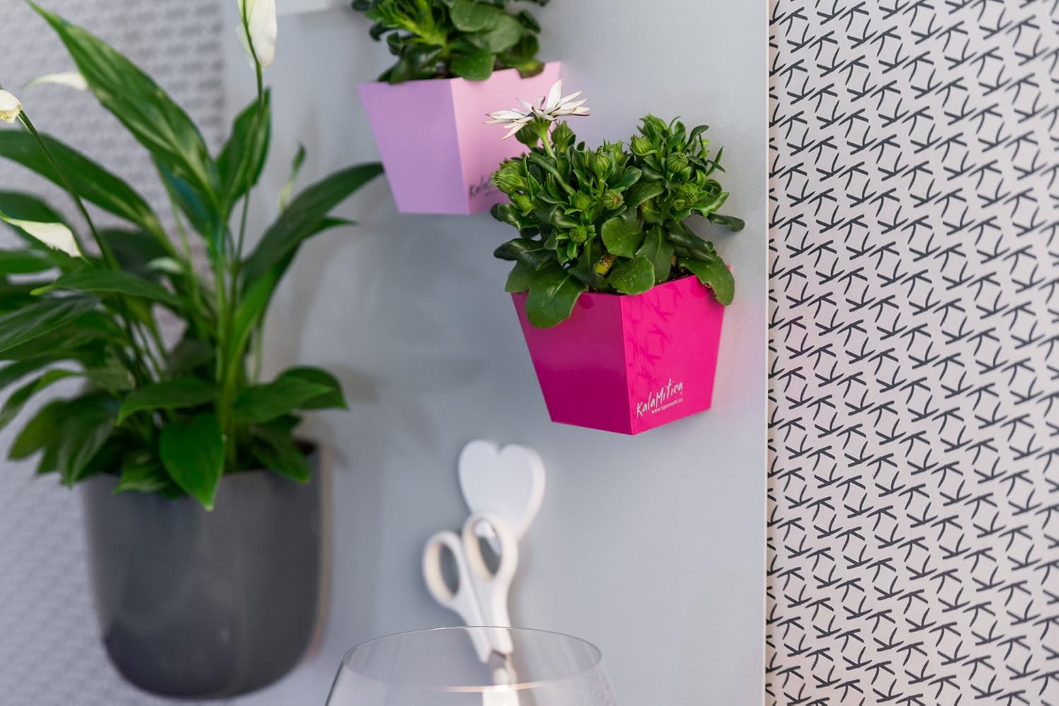 Kalamitica 65112 900 001 Cache Pot Magnetique Couleur Blanc Diametre 12 Cm Resine Abs Cuisine Maison Ameublement Et Decoration