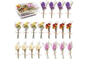 HAIABEI 20Pcs Don't Forget Me Flower Bouquets Natural Forget-me-nots Dried Flower Bouquet Myosotis Sylvatica Dry Flower Leaves Lagurus Dried Embossing Flower Bundle Plant Stem Bunch for DIY Craft,Photo Props