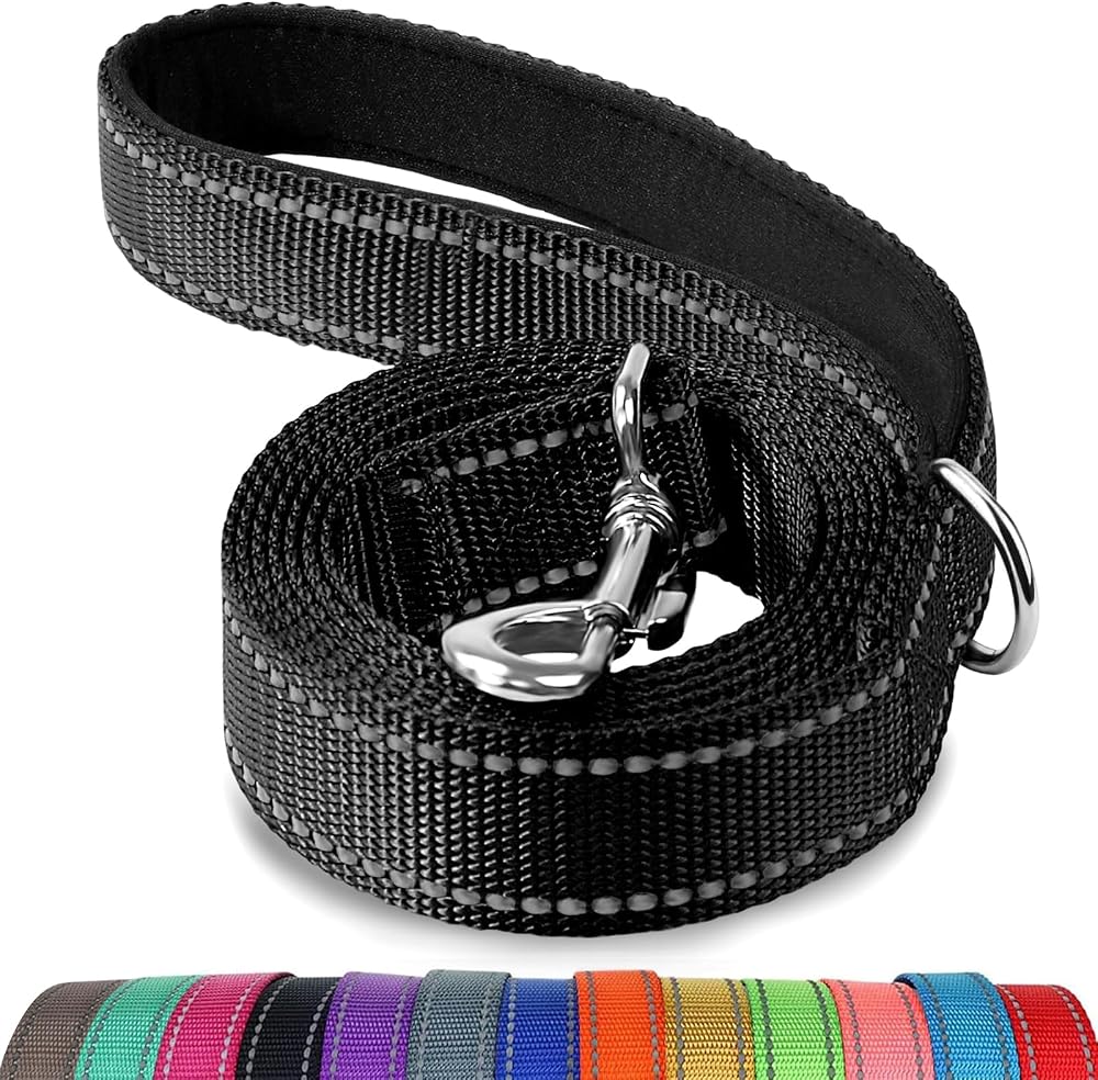 Joytale Padded Handle Dog Lead Double-Sided Reflective Nylon 1.2m 2.5cm Black