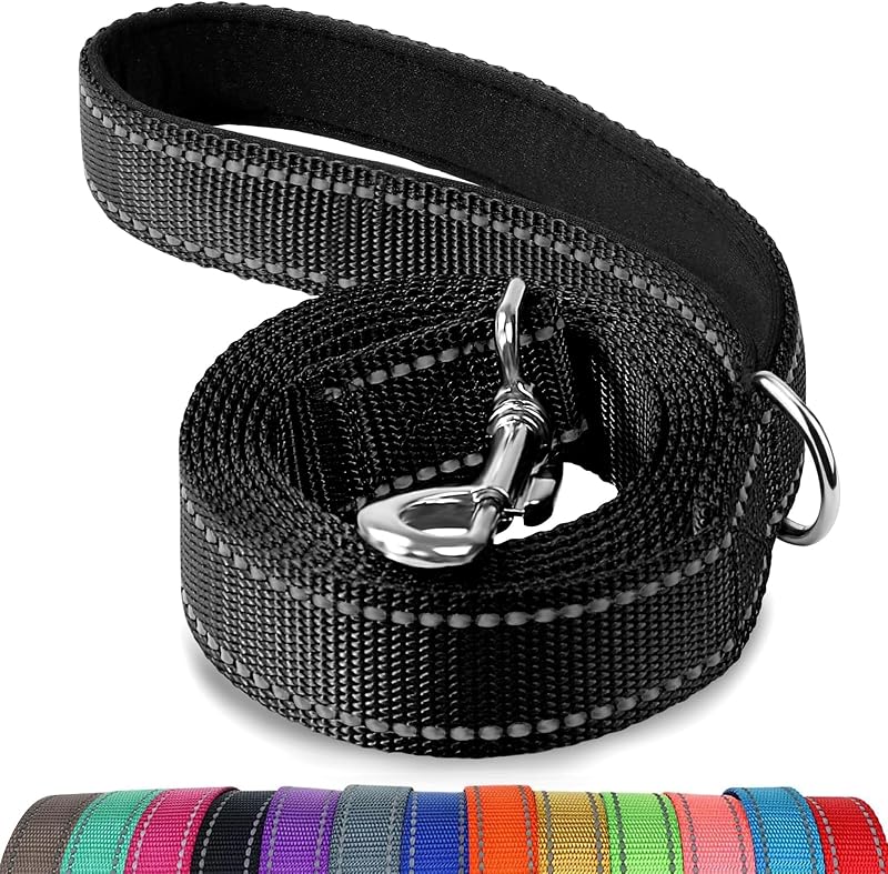Joytale Padded Handle Dog Lead Double-Sided Reflective Nylon 1.2m 2.5cm Black
