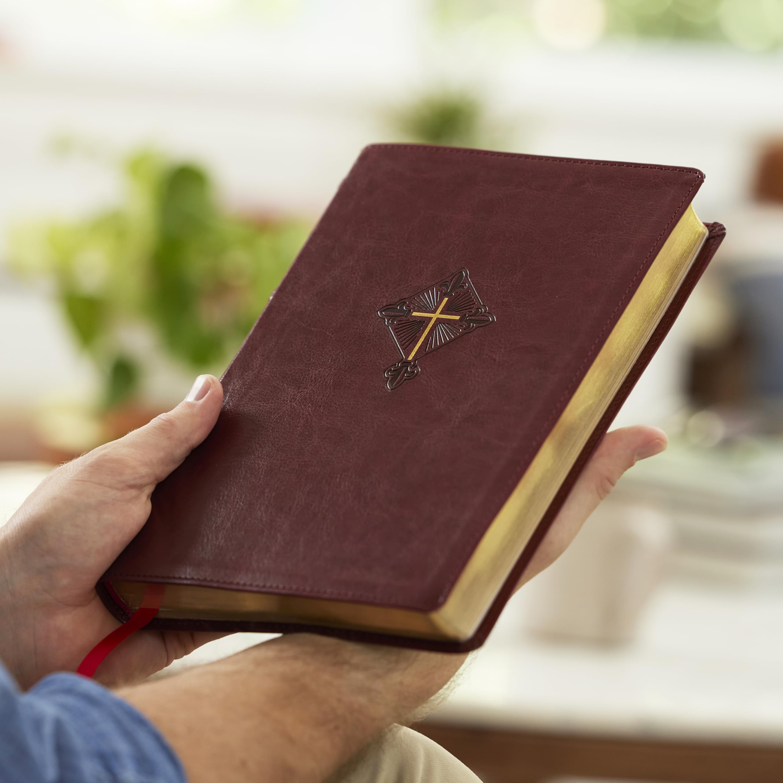 RSV2CE, Thinline Large Print Catholic Bible, Crimson Leathersoft, Comfort Print RSV2CE, Thinline Large Print Catholic Bible, Crimson Leathersoft, Comfort Print Imitation Leather