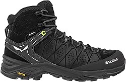 Salewa Alp Trainer 2 Mid GTX Hiking Boot - Men's