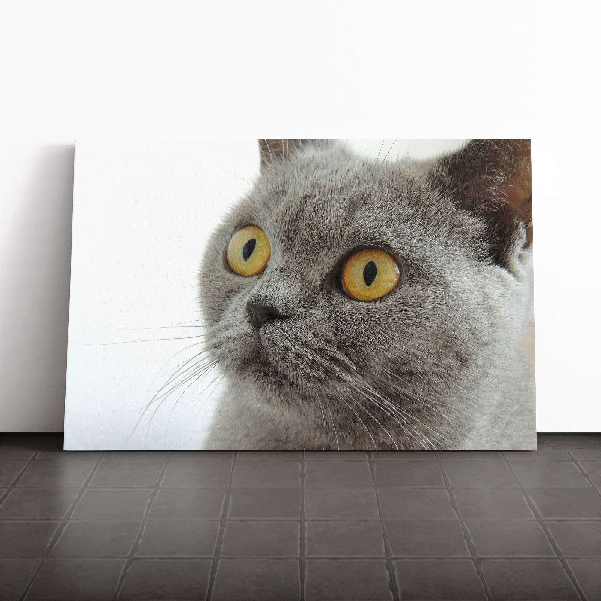 British Shorthair Cat Canvas Print | Gallery Wrapped 30mm Frame Wall Art | 20x14 inches | Ready to Hang | Modern Animals Picture | Living Room Bedroom Lounge Office