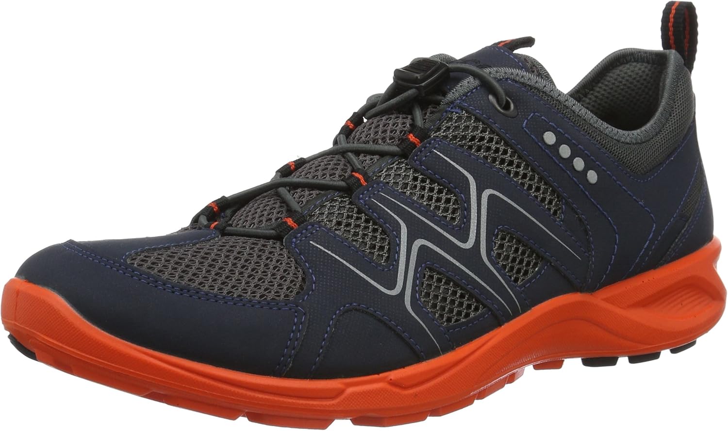 ECCO Mens Terracruise Hiking Shoe Shoes Men