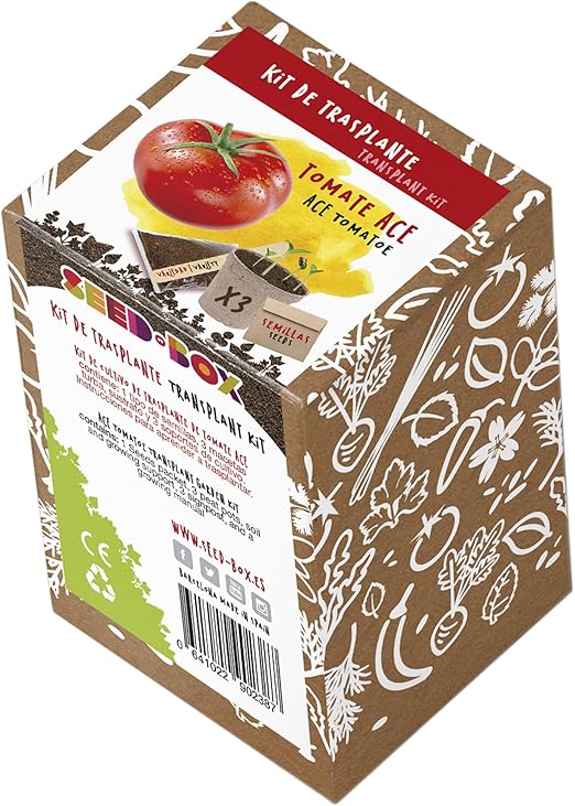 SeedBox KTVHTA Huerto Urbano kit trasplante de tomate ace, 0.7x0.7x9 cm: Amazon.es: Jardín