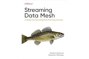 Streaming Data Mesh: A Model for Optimizing Real-Time Data Services