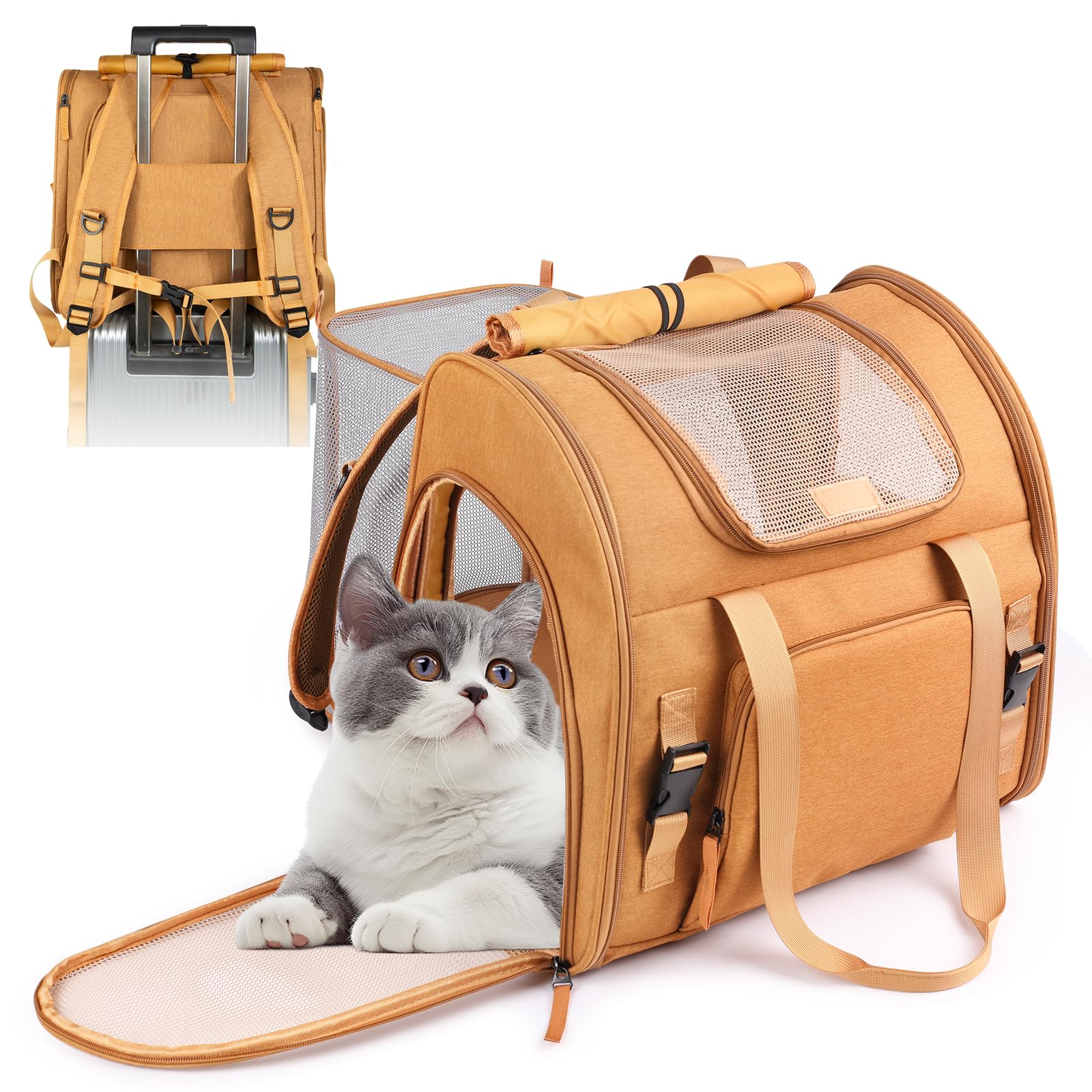 Photo 1 of Expandable Carrier Backpack for Big Cats Small Dogs, Airline Approved Pet Carrier Backpack,Foldable Breathable Travel Backpack, Portable Pet Carrier Backpack with Safety Leash, Holds Up to 18 Lbs