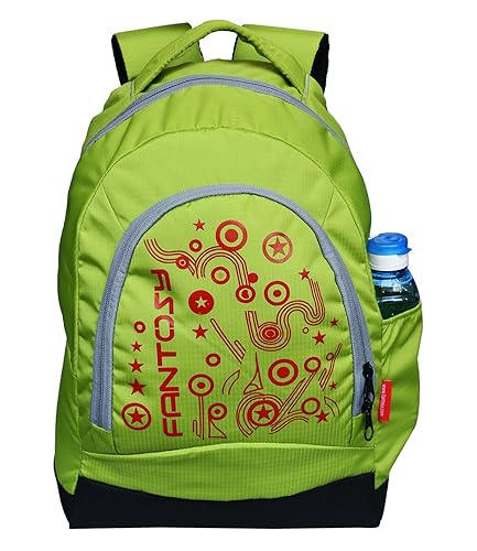 fantosy star green laptop backpack (28 L) (BP-009)