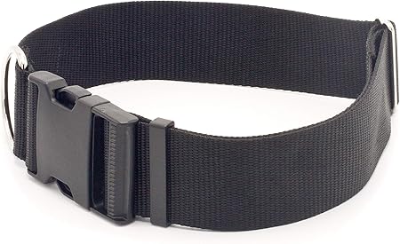 2 inch dog collar