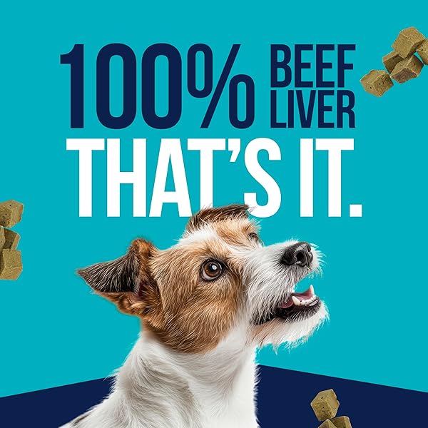 STEWART SINGLE INGREDIENT FREEZE DRIED RAW DOG TREATS, BEEF LIVER, 12 OUNCE RESEALABLE TUB, TRAINING TREATS OR MEAL TOPPER FOR ALL SIZE DOGS, HIGH PROTEIN, GRAIN-FREE, GLUTEN-FREE